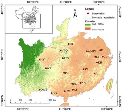 Soil carbon, nitrogen, and phosphorus stoichiometry and its influencing factors in Chinese fir plantations across subtropical China